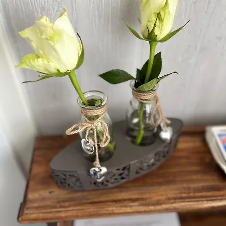 فندق Haus Loewe *