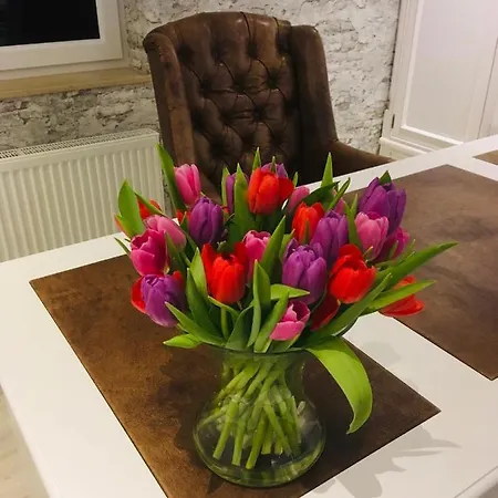 Haus Loewe Отель *