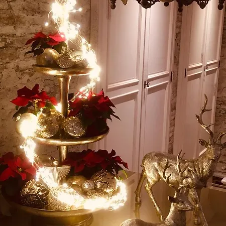 فندق Haus Loewe *