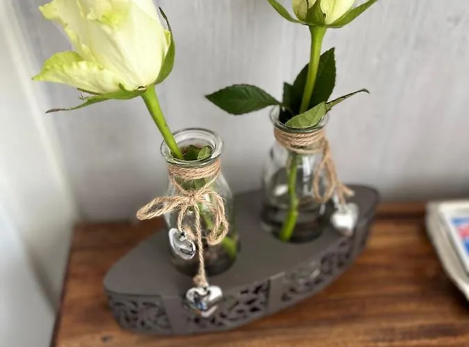 מלון Haus Loewe *