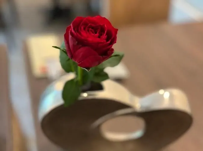 מלון Haus Loewe *