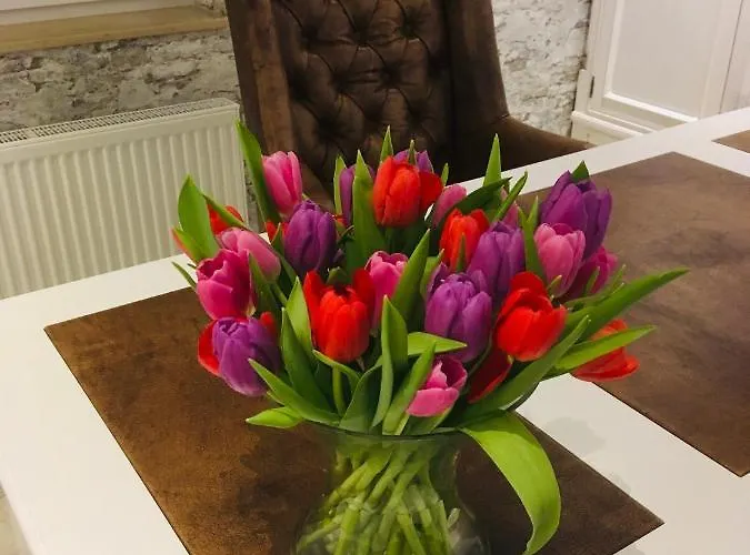 Haus Loewe מלון *